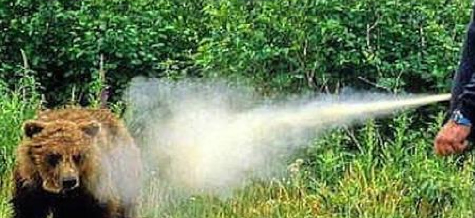 La Lega di Salvini esulta: Lo spray antiorsi sarà presto dato ai forestali''
